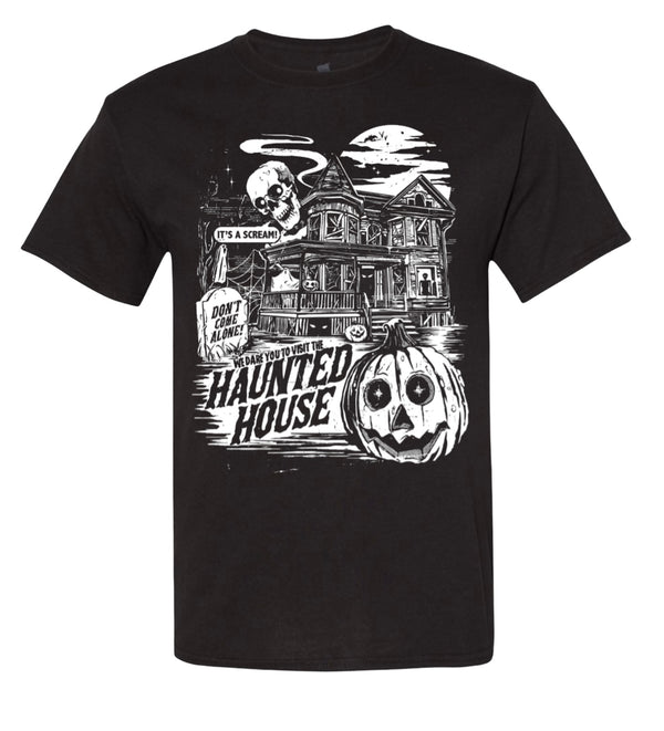 The Haunted House
